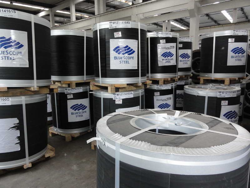 澳洲博思格彩涂卷倉庫 澳洲博思格彩涂卷倉庫